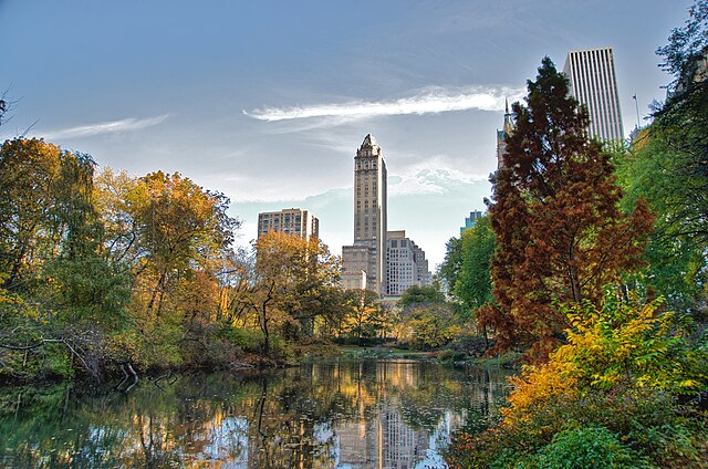 Vue à l'intérieur de Central Park